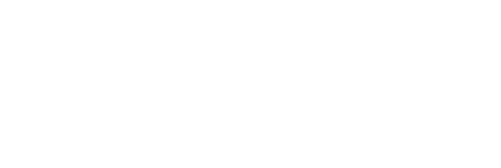 BlueWolf Consulting