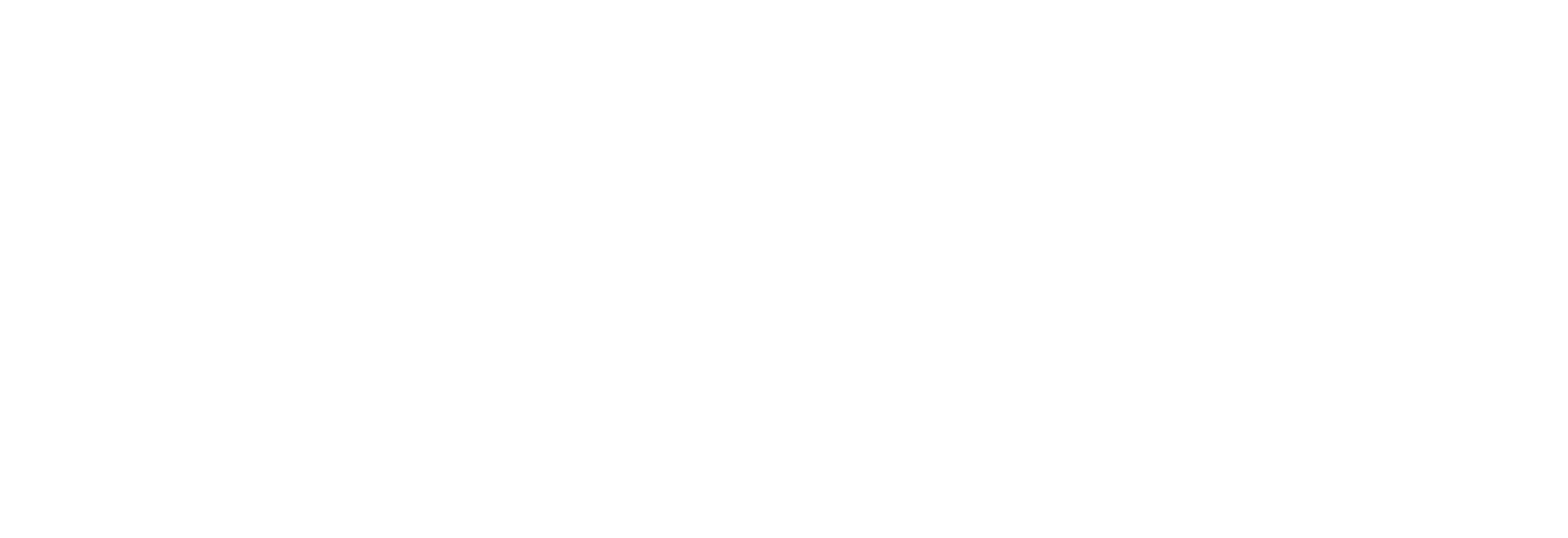 BlueWolf Group