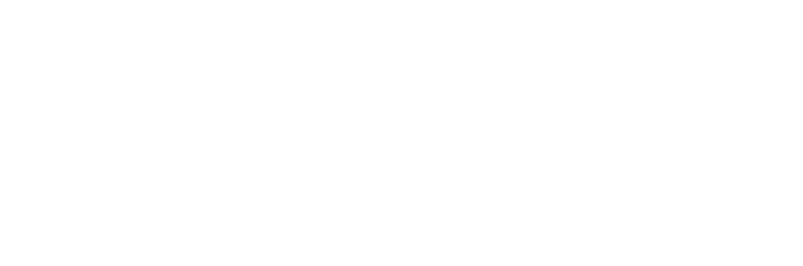 BlueWolf Technologies